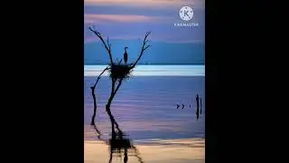 Composition on F Major 7th Arpeggio