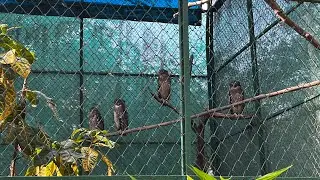 Thrissur State Museum and ZOO | #zooanimals #thrissur #funtime