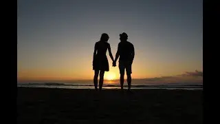 WhileWild - Walking on the line (Official Music Video) 4K