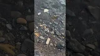 12.07 температура моря 27 градусов, вода шикарная 
