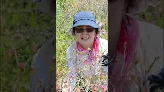 태백산산행사진영상