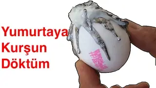 Egg and Lead