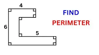 Find the perimeter of the given shape | Geometry Problem | Important Geometry Skills Explained