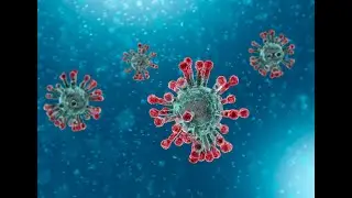 Как выявляют COVID-19 (SARS-CoV-2) с помощью ПЦР