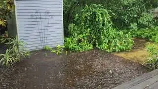 Sarasota Hurricane Milton Wednesday 1PM update.