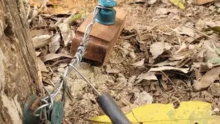 Como fazer cerca eletrica para animal com arame farpado