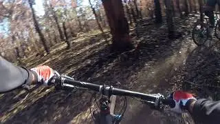 Loftus Single track