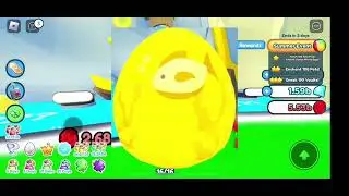 #petsimx