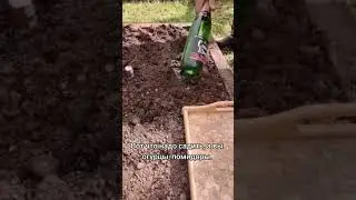 Сезон посадки начался
