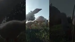 Как же хочется в лето!!