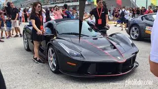 150+ Ferraris SINGAPORE (Photo Slideshow)