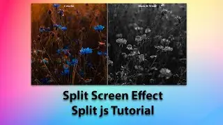 Split js tutorial | split screen effect | image color change | 2021