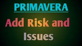 Add Risk and Issues in Primavera P6 Professional | Portfolio Management Software | Tamil tutorials
