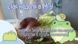 ФизФак 21ая неделя в МГУ (ЭКЗАМЕН №3)