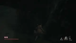 Enough of This Monkey Business!! - Sekiro First Playthrough Part 5