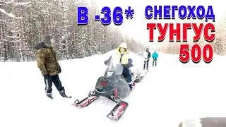 Снегоход Тунгус 500. Запуск в -36.