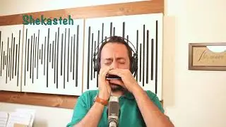 Harmonica . Iranian Classical Music on Diatonic Harmonica