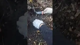 Находочка...