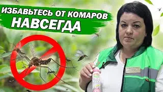 МЫ НАШЛИ ЛУЧШИЕ СРЕДСТВА ОТ КОМАРОВ! ЭФФЕКТ 100%! #огород #сад #дача