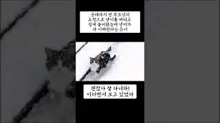 군대가기 전 집사를 보내는 냥이