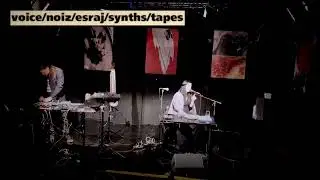 Karamarkovic&Denovaire Live. Human Intelligence?
