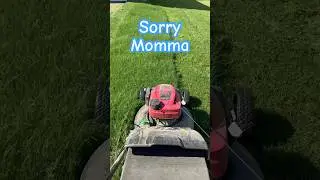 Mowing Fast Growing Fertilized Grass.  #MommaSaid #lawn #shorts