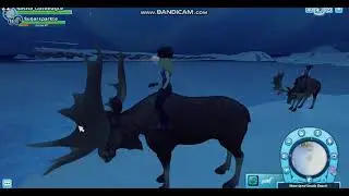 Ice Island  winter event sso star stable online