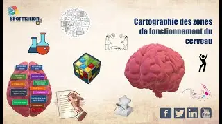 Cartographie des zones de fonctionnement du cerveau