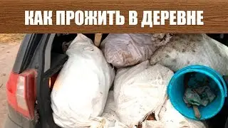 Где Раздобыть бесплатно Овощей