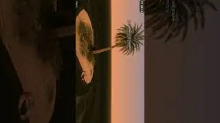 Проблема со входом на сервер, | Online Rp Florida