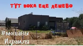 Где дешево купить дом в Израиле? Мошав Маген Шауль