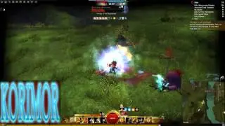 GW2 WvW Most OP Build (Yak's Bend)