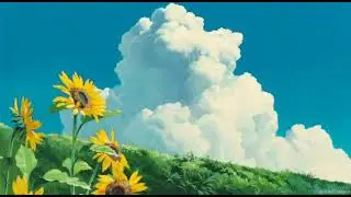 Sunset II - Pink Hapless | Lofi | Relaxing Music