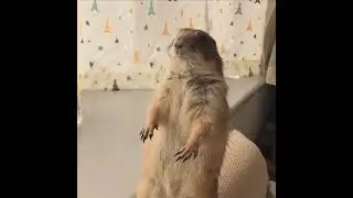 Please don