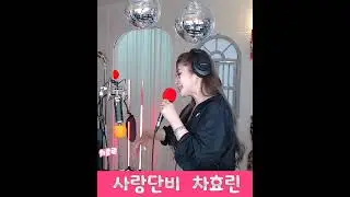 가수차효린 사랑단비 love sweet rain 비타효린 트롯여신노래  kpop  #shorts