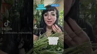 6 сентября 2024 г.