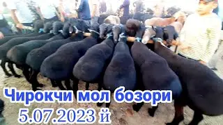 Чирокчи мол бозори нархлари 5.07.2023 й