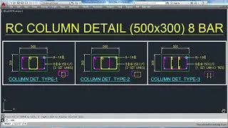 Col. Reinforcement Detail 500x300-8 BAR(Rebar Arrangement)in Engineering Drawing//AutoCad hindi/Urdu