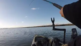 1st KAYAK STURGEON FISHING trip of 2021! STURGEON wishing or fishing? BIG SHTICKS