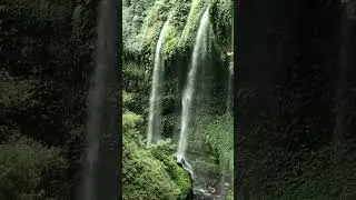 Tropical Waterfall / green places / relax water