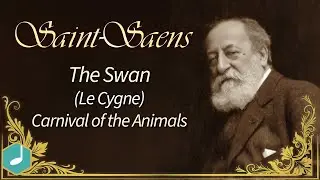 Saint-Saens : The Swan ( Le Cygne )  - Carnival of the Animals