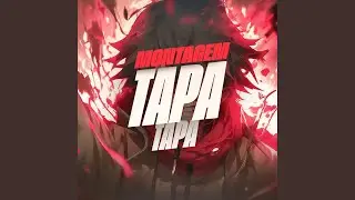 Montagem - Tapa Tapa