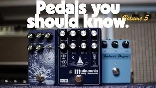 TEFI Malinconia, Couch Electronics Baker's Dozen & ALABS Cetus Reverb | Pedals You Should Know