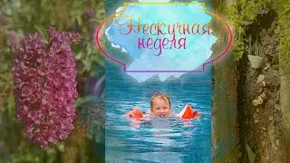 Недельный влог  Schwimmkurs пошел не по плану