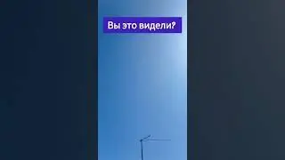1 июля 2023 г.