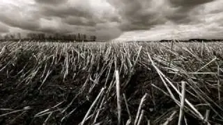 Amethystium - La Pluie