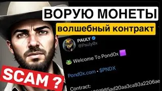 Ворую токены Pauly с других кошельков