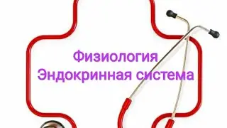 Физиология паращитовидной железы. Гиперпаратериоз и гипопаратериоз.