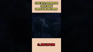 Bisikan Dari sang Raja hutan. part 4