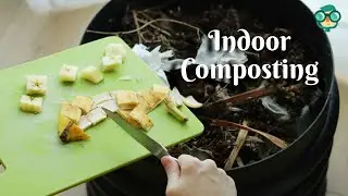 How to Compost Indoors? How to Make Compost at Home? How to Compost Inside Apartment?